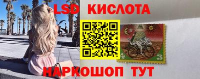 ALPHA PVP Камышлов