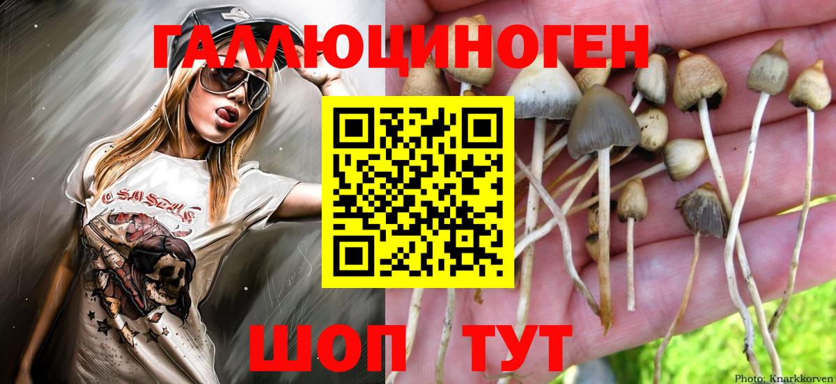 Псилоцибиновые грибы GOLDEN TEACHER Киселёвск