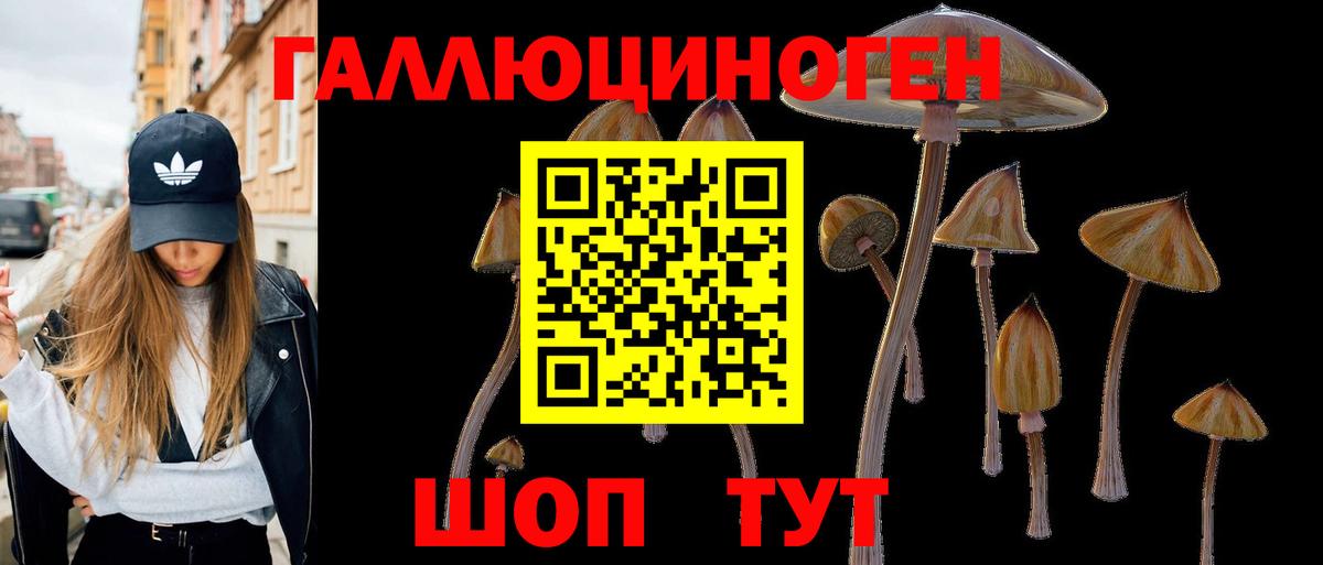 Киселёвск  Галлюциногенные грибы мухоморы  купить наркоту  Псилоцибиновые грибы прущие грибы  Вход с VPN 